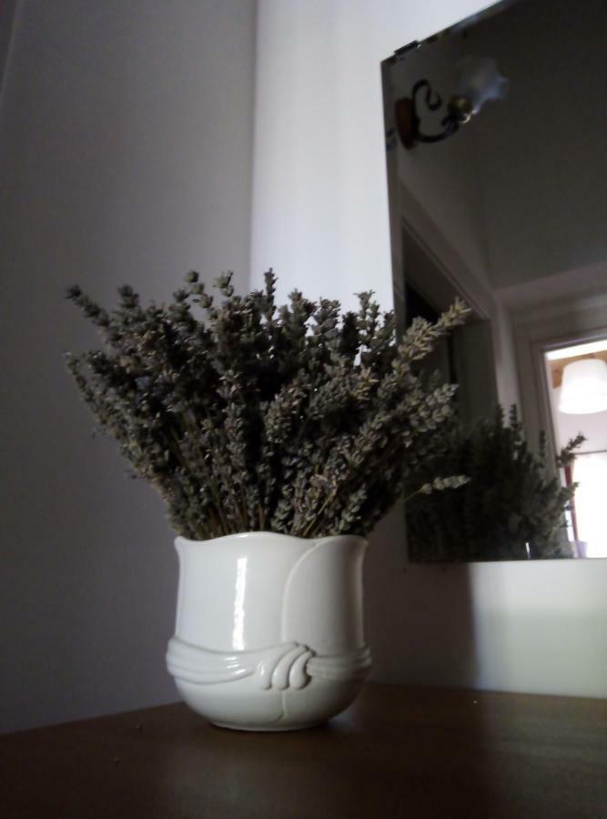 Castilenti Agriturismo Terra Dei Falchi מראה חיצוני תמונה