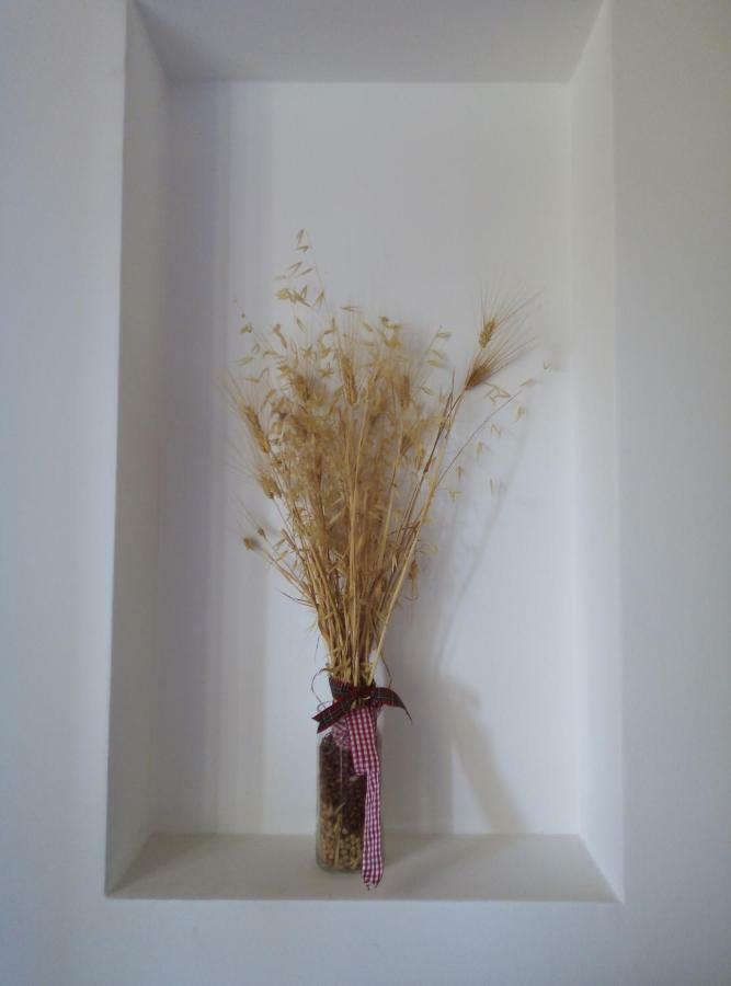 Castilenti Agriturismo Terra Dei Falchi מראה חיצוני תמונה